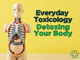 How to Reduce Body Detoxification